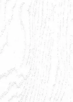 РоялВуд Белый 05