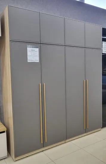 Шкаф по индивидуальному проекту Силк Шитаке