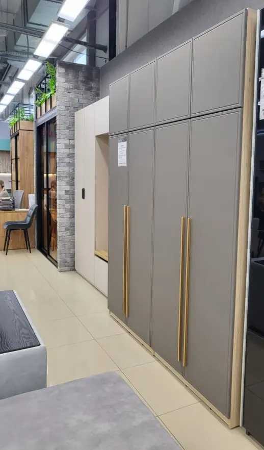 Шкаф по индивидуальному проекту Силк Шитаке