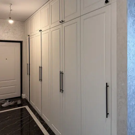 Шкаф по индивидуальному проекту Тальк