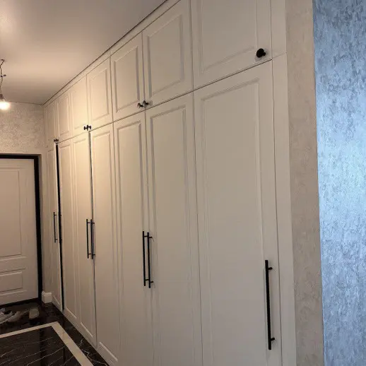 Шкаф по индивидуальному проекту Тальк