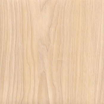 Акация Европейская (Светлая)