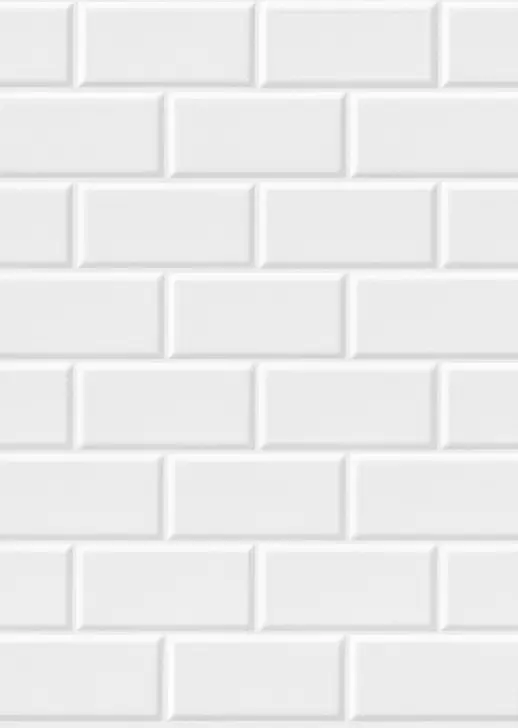 КАБАНЧИК БЕЛЫЙ