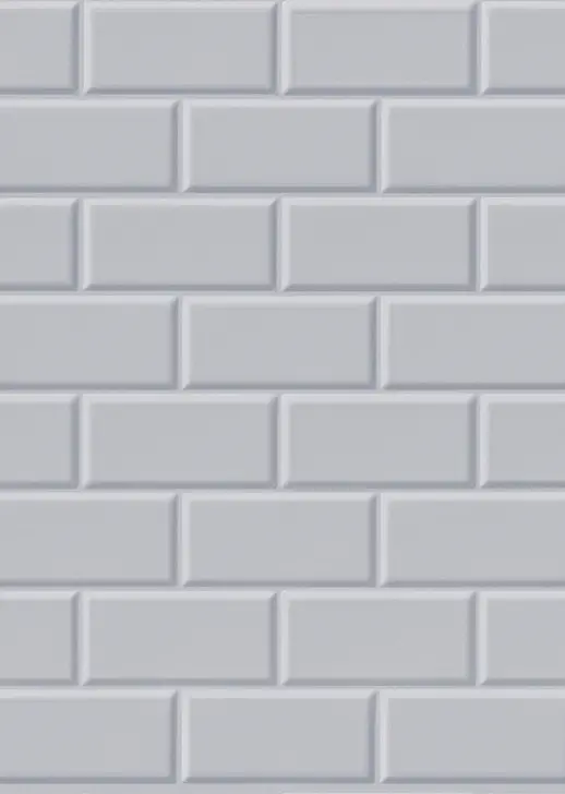 КАБАНЧИК СЕРЫЙ