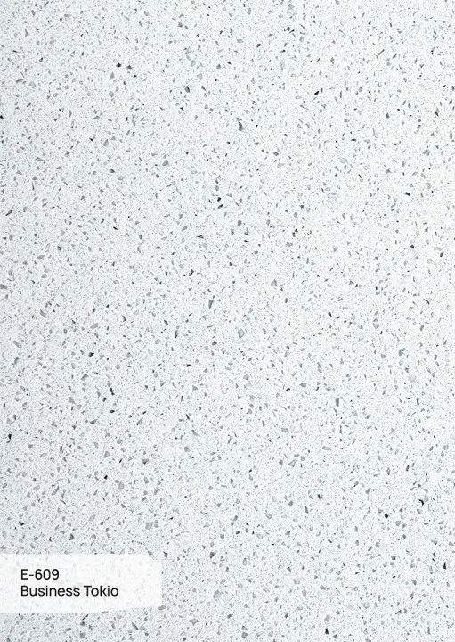 GRANDEX E 609 Business Tokio