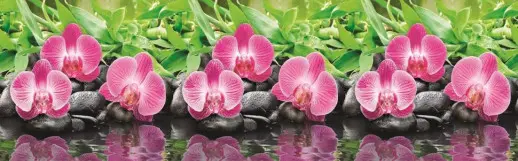 № 434 Орхидеи