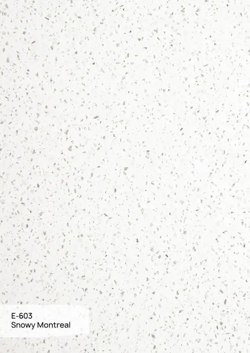 GRANDEX E 603 Snowy Moscow