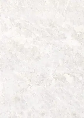 Королевский опал светлый Глянец 707