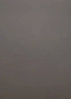 Силк Шитаке коллекция Пастель