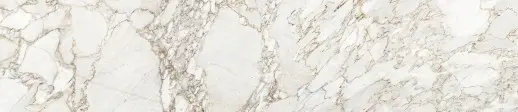 SP 377
