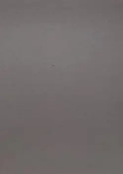 Силк Муссон