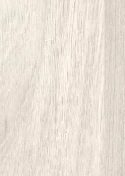 Ильм Скандинавский СС 8193