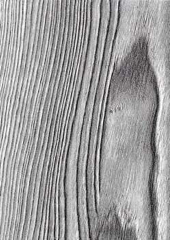 Ясень Ривьера Грей