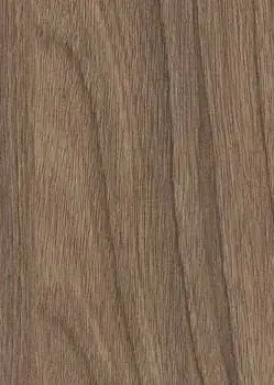 Ильм Европейский СС 8192