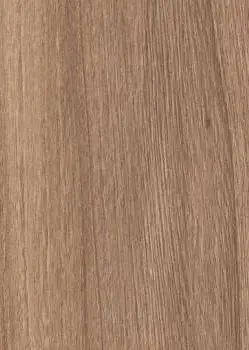 Ильм Американский СС 8195