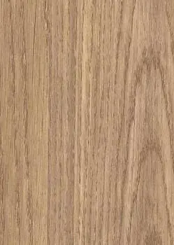 Дуб Европейский красный СС 8113