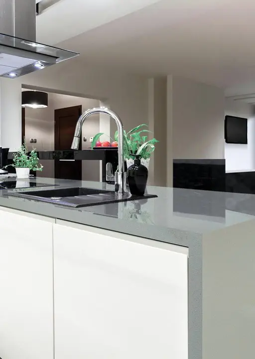 GRANDEX D 309 Mushroom Soup