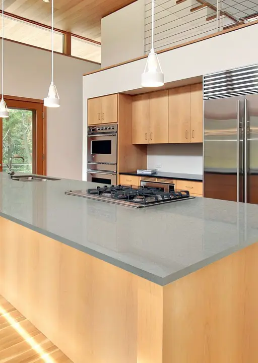 GRANDEX D 309 Mushroom Soup