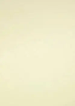 Бизе Шагрень СС5041 (14816)