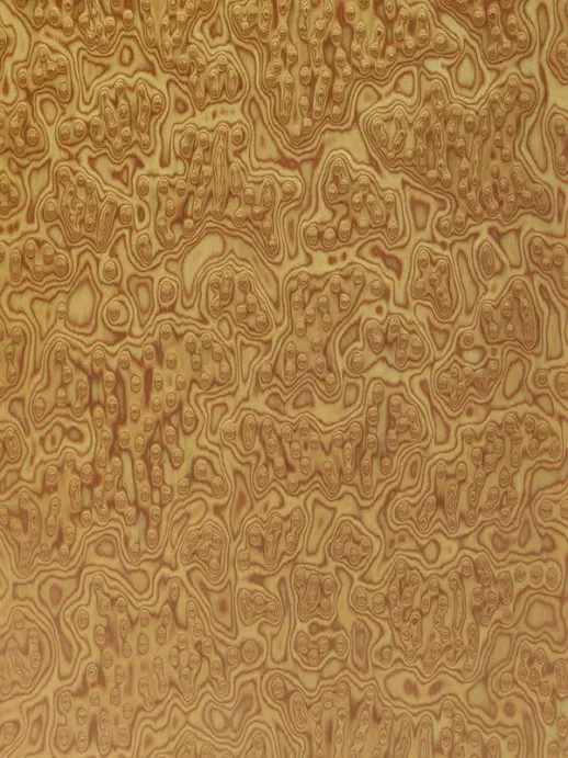 МУЛЬТИШПОН (ФАЙН-ЛАЙН) «ДУБ КОРЕНЬ» 600V