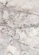 Мрамор Фреско 8237/Pt