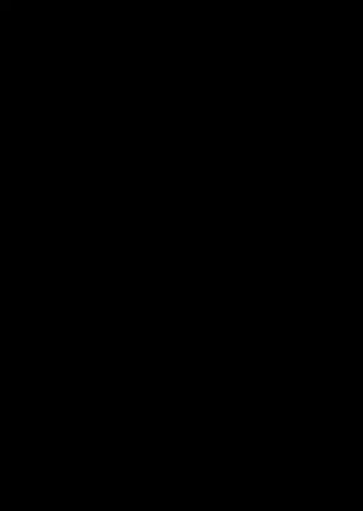 Черная Венеция 1021/Q