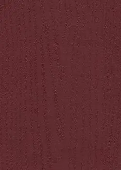 Платан Маджента 24