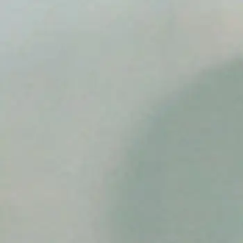 Платан Маждента 2600х3400 мм