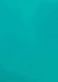 Бонди глянец MG-008