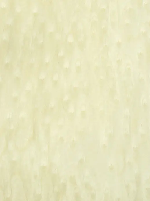 МУЛЬТИШПОН (ФАЙН-ЛАЙН) «КЛЕН ПТИЧИЙ ГЛАЗ» WEBM