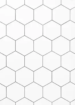 SF 21 СОТЫ БЕЛЫЕ