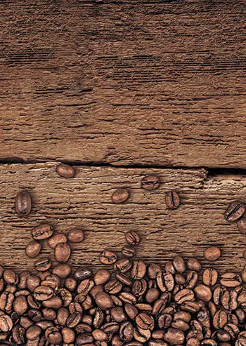 SF 110 АРАБИКА