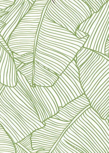 SF 112 ТРОПИКИ