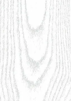 Патина Ясень 29