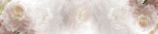 SP 045