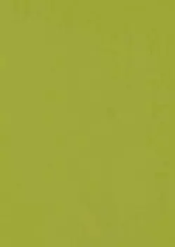 Софт Олива МСН 78983