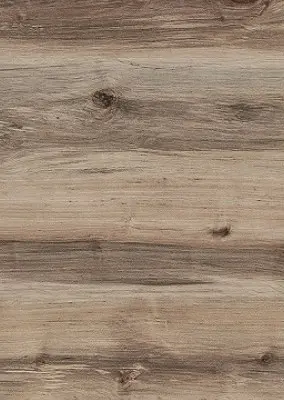 Береза Сандал (Срез дерева) 521