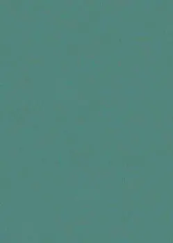 Софт Бирюза МСН 78981