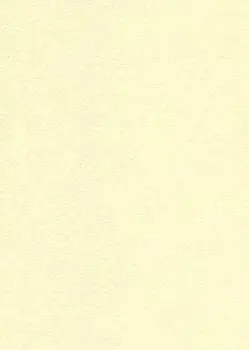 Софт Бизе МСН 78997